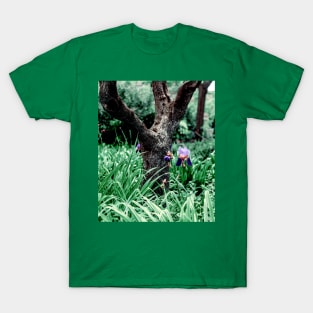 Purple Iris flower under a tree T-Shirt